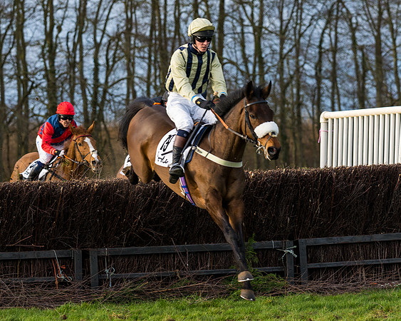 Race 8  (8 of 36)-2