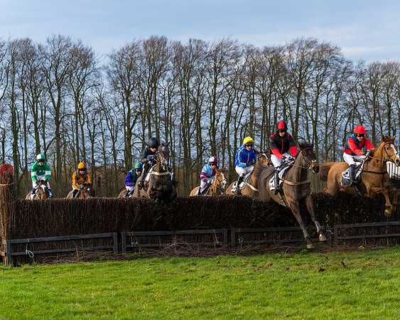 Race 8  (9 of 36)