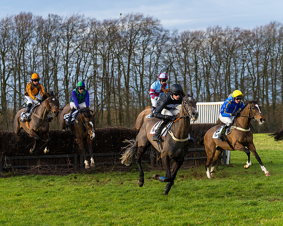 Race 8  (12 of 36)