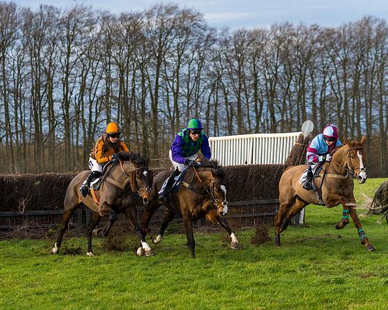 Race 8  (14 of 36)