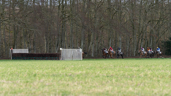 Race 8  (17 of 36)