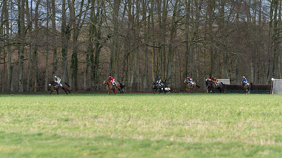 Race 8  (18 of 36)