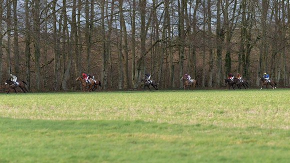 Race 8  (19 of 36)
