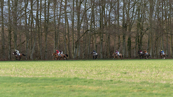 Race 8  (20 of 36)-2