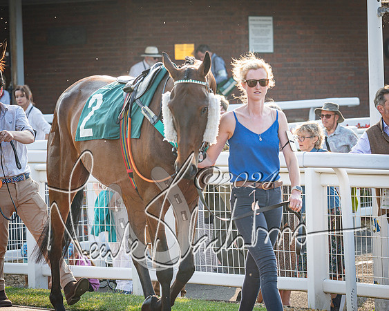 Race 4 - The Jonathan Neesom memorial open Hunter’s steeplechase 3m2f 70y (12 of 167)