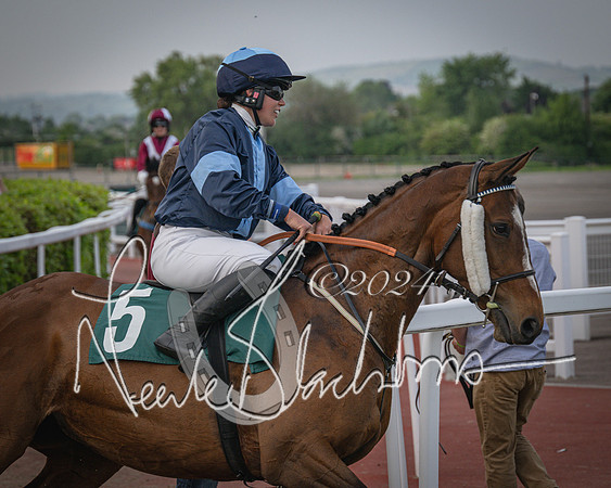 Race 5 - Mares Open Hunter Steeplechase 3m2f 70y (41 of 269)