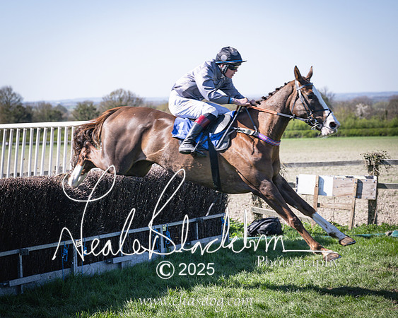 Race 5 - The restricted (77 of 113)
