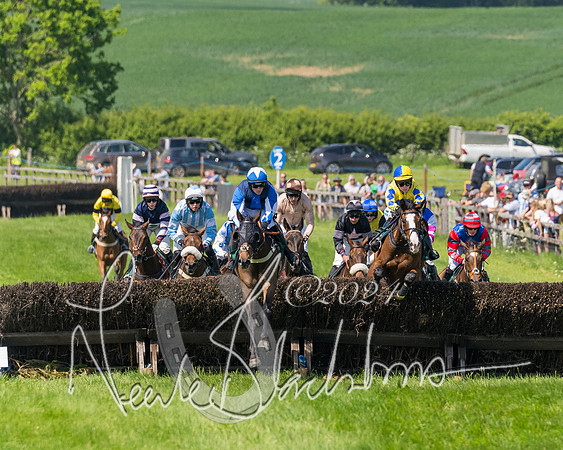 Race 2 - The Maiden  (197 of 442)