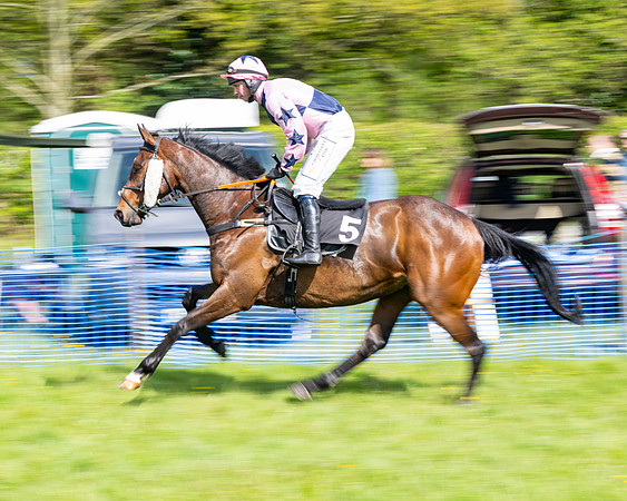 Race 4 -  2M4F Conditions  (32 of 102)