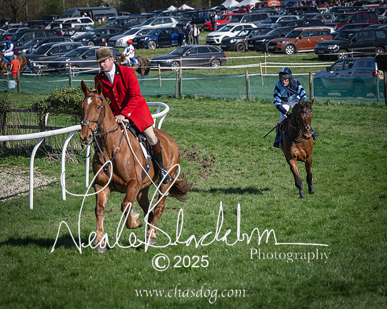 Race 6 - Veteran horse (18 of 109)