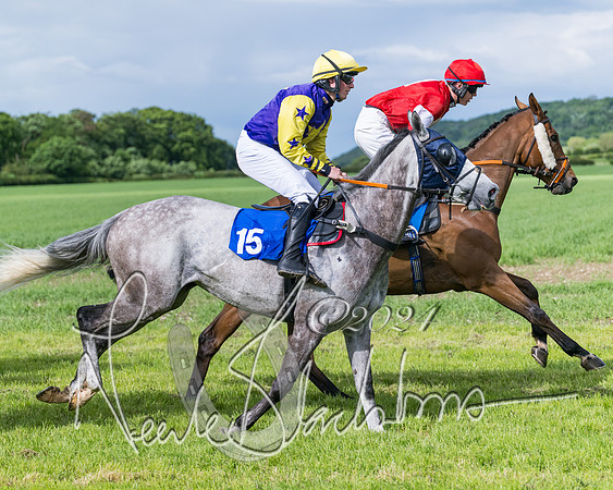 Race 5 - Restricted Race (216 of 434)