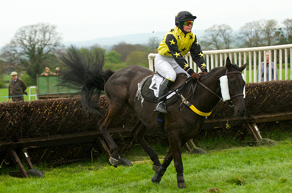 Race 3 - 4-5-6 Maiden 31