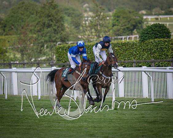 Race 2 - The Venatour sports travel intermediate point to point hunters’ steeplechase 5 year olds and over 3m2f (53 of 163)