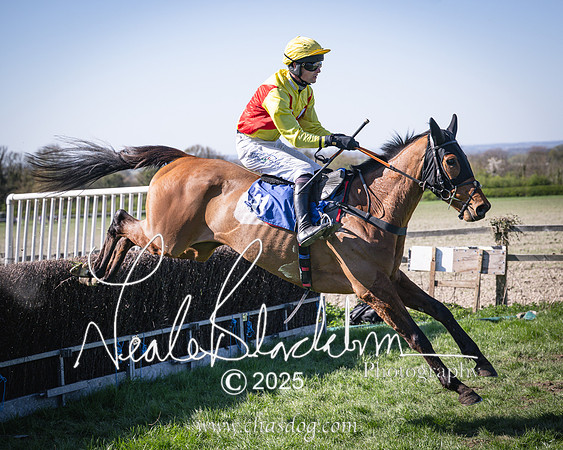 Race 5 - The restricted (72 of 113)