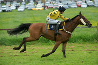 Race 4 - Fernie Gold Cup