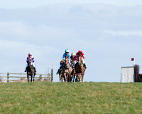 Oakley Ponies (3 of 96).jpg