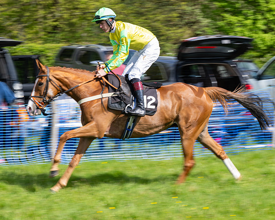 Race 4 -  2M4F Conditions  (20 of 102)