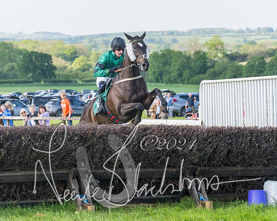 Race 7 - Veteran Horse (146 of 246)