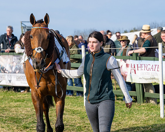 Race 5 - PPORA Five years and over (36 of 163)