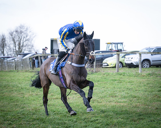 Race 2 - Maiden (16 of 145)