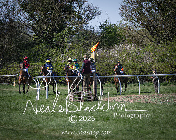 Race 5 - The restricted (45 of 113)