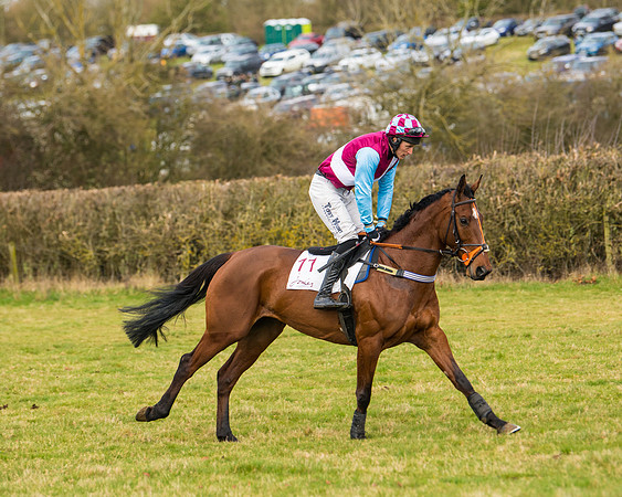 Race 3 - Restricted  (8 of 100)