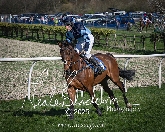 Race 6 - Veteran horse (22 of 109)