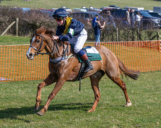 Pony Race 2 - 138cm (33 of 65)