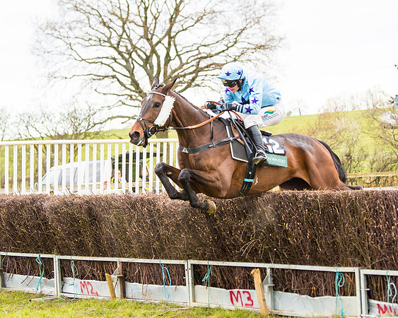Race 6 - 6 year old and over Maiden 2m4f (39 of 62)