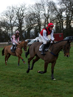 CHHC - Young Horse Maiden Division 1