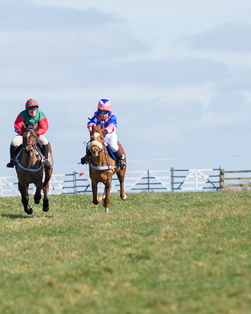 Oakley Ponies (37 of 96).jpg