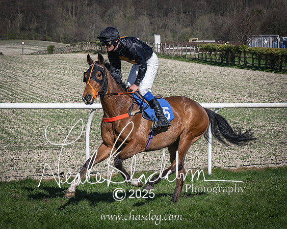 Race 6 - Veteran horse (26 of 109)