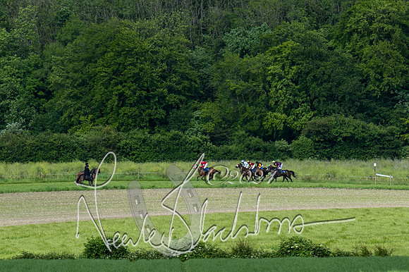 Race 5 - Restricted Race (238 of 434)