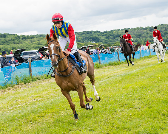 Race 2 - PPORA Novice Riders  (39 of 187)