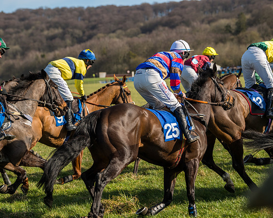 Race 1 - Open Maiden Division 2 (65 of 173)