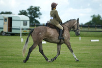Jackson Dressage 11