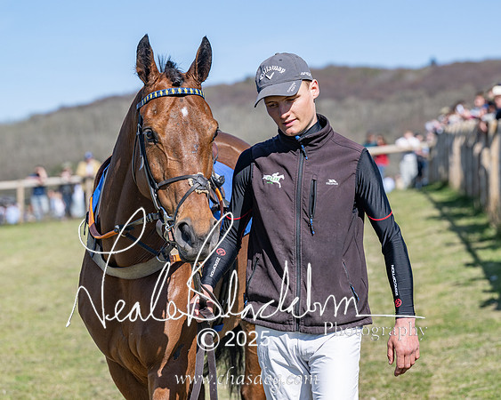 Race 5 - The restricted (15 of 113)