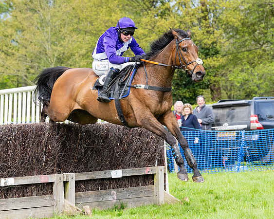 Race 2 - Veteran Horse (74 of 80)