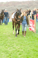 Race 4 - Nov-vets 8