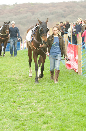 Race 4 - Nov-vets 8