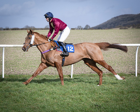 Race 3 - The Maiden Conditions (50 of 214)