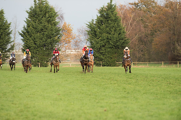 Race 5 - Open Maiden 55
