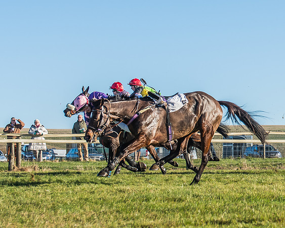 Race 1 - PPORA Novice Riders Race-29