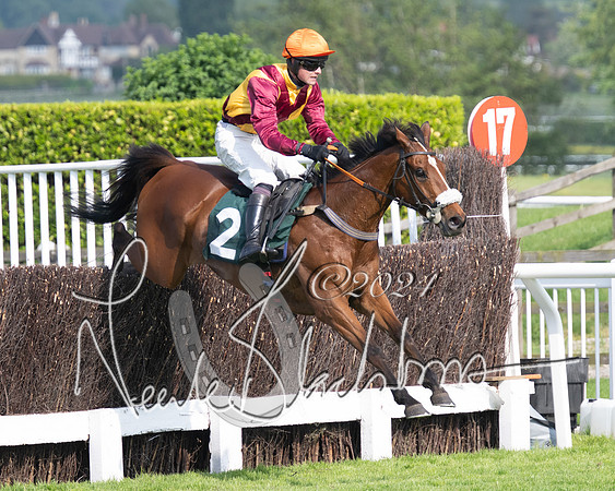 Race 1 - The Bottle Green Open Hunters steeplechase 2m62y (55 of 93)