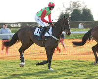 Race 7 - Novice Riders Race (7 of 145).jpg