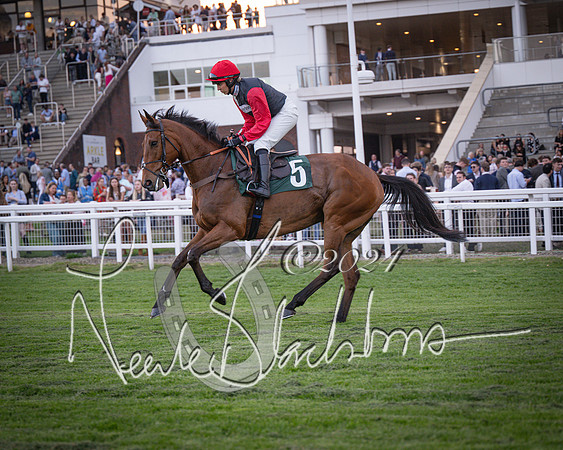 Race - 7 The Royal Gloucester Hussars Open Hunter's steeplechase 2m4f 127y (25 of 210)