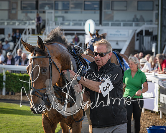 Race 4 - Peretemps Stratford Foxhunters (12 of 168)