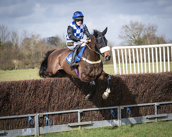 Race 3 - The Maiden Conditions (96 of 214)