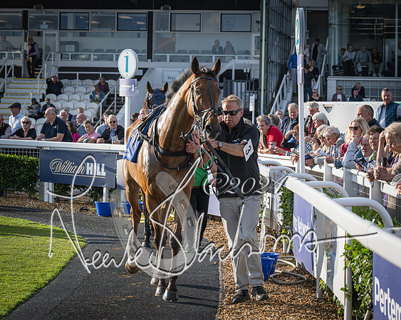 Race 4 - Peretemps Stratford Foxhunters (10 of 168)
