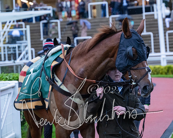Race 7 - Glos Hussars (14 of 220)
